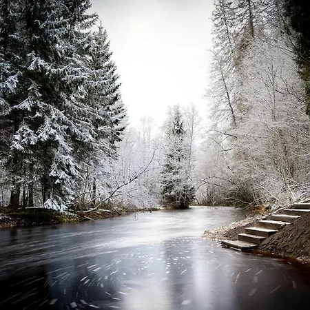 Vakantiehuis Kakerdaja Private Sauna *