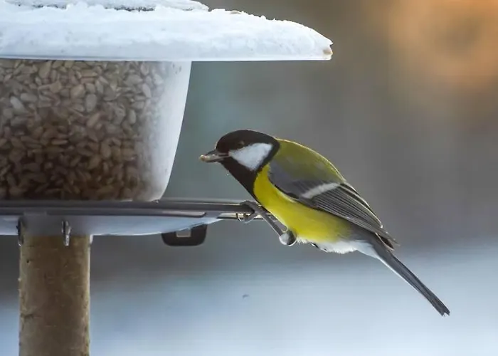 Kakerdaja Private Sauna Holiday home Voose (Harjumaa)